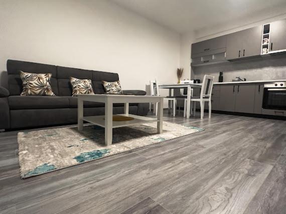 Apartament Ionut Băile Felix Exterior foto
